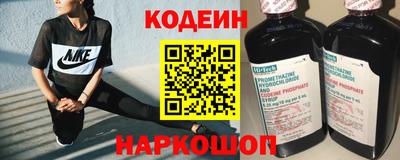 индика Дубна