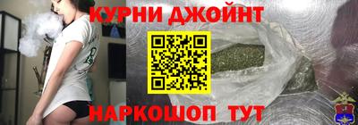 индика Дубна