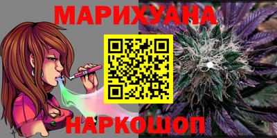 индика Дубна