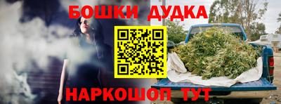 индика Дубна