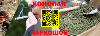 индика Дубна