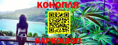индика Дубна