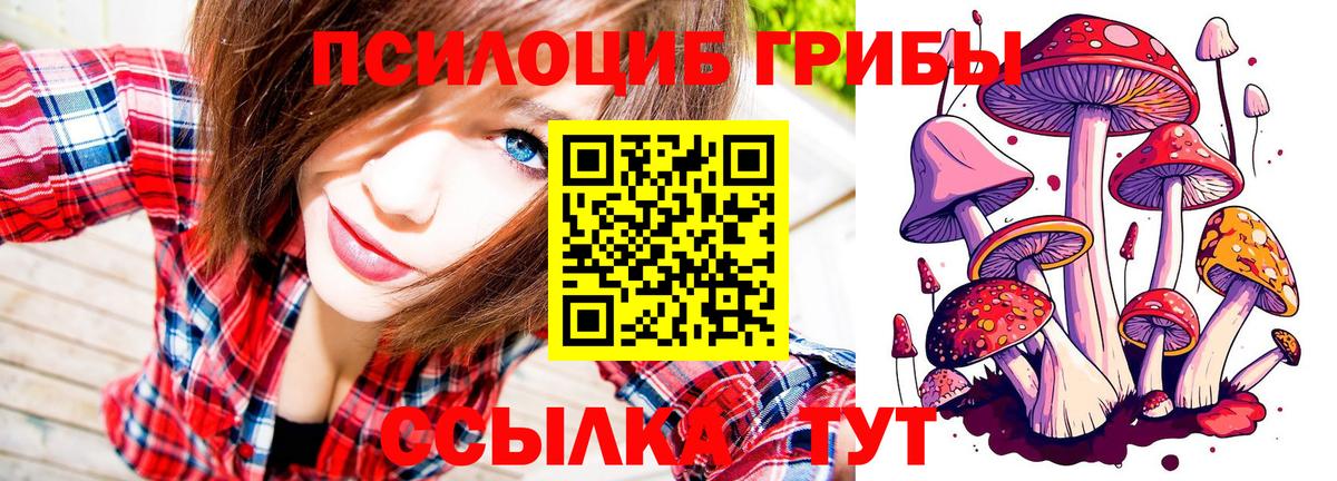 Галлюциногенные грибы MAGIC MUSHROOMS Медногорск